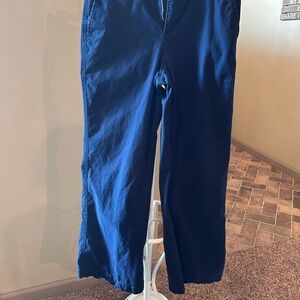 Stylish Blue Pants